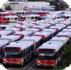 OC Transpo articulated buses